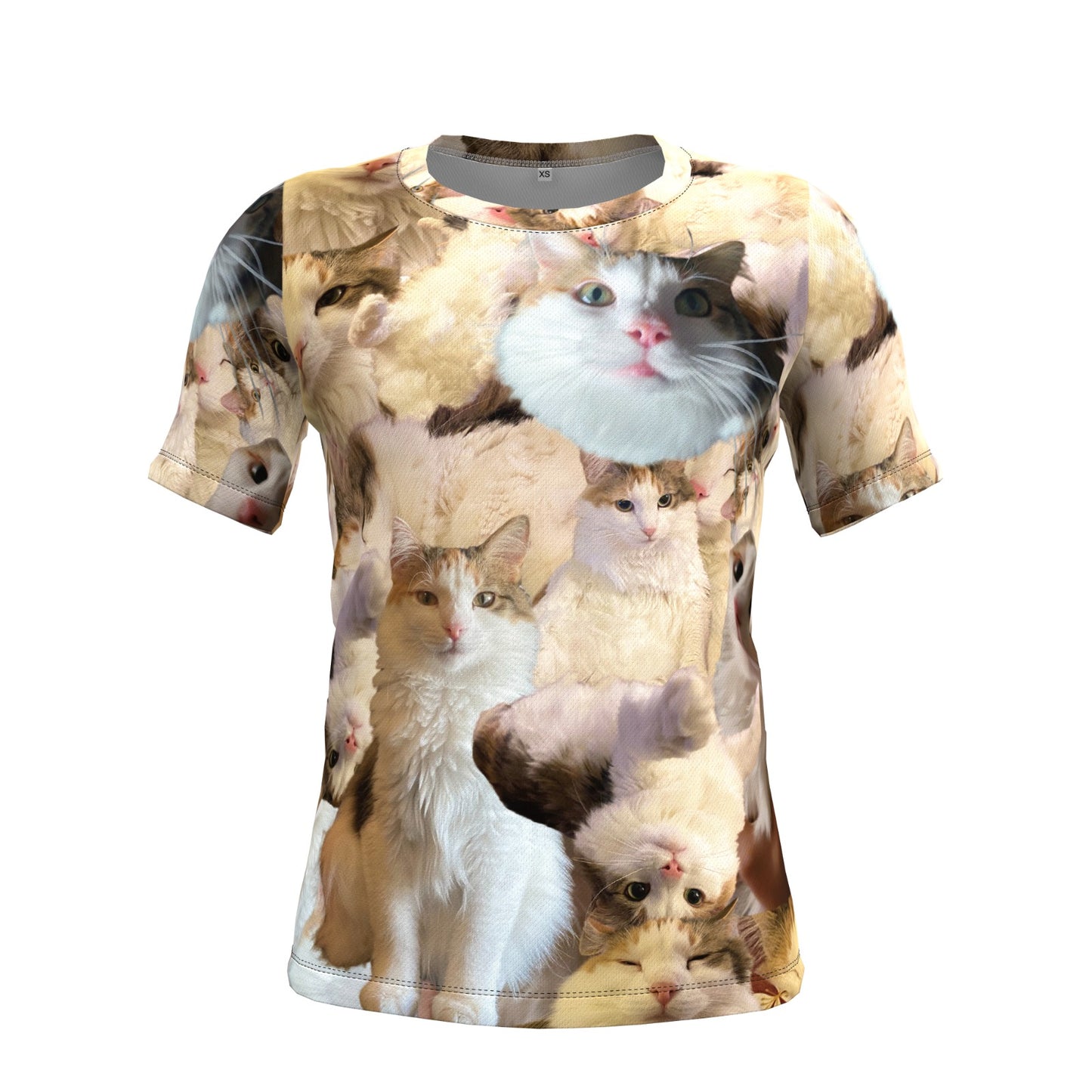 Custom - Brooke Colorado - Crazy Cats